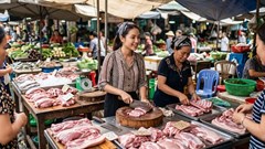Giá heo hơi hôm nay 26.6: Miền Bắc giữ đỉnh, miền Nam tiếp tục giảm sâu