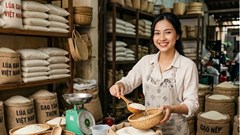 Giá lúa gạo hôm nay 4.7.2026: Xuất khẩu tăng, nội địa vẫn chậm