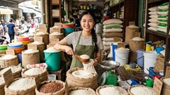 Giá lúa gạo hôm nay 10.7.2026: Thị trường đi ngang