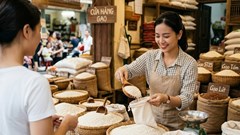Giá lúa gạo 14.7.2026: Xuất khẩu giữ nhịp tích cực