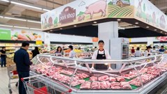 Giá heo hơi hôm nay 5.8.2026: Thị trường tiếp tục lùi nhẹ tại nhiều nơi