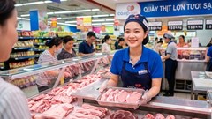 Giá heo hơi hôm nay 7.8.2026: Miền Bắc neo mức cao