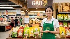 Giá lúa gạo hôm nay 10.8.2026: Jasmine giảm, lúa vẫn neo cao