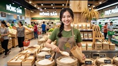 Giá lúa gạo hôm nay 11.8.2026: Xuất khẩu ổn định, giao dịch chậm