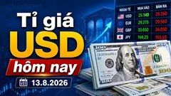 Tỉ giá USD hôm nay 13.8: Đồng bạc xanh lấy lại đà tăng