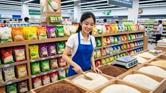Giá lúa gạo hôm nay 17.8.2026: IR 504, CL 555 tiếp tục đáng chú ý