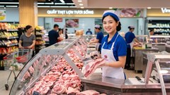 Giá heo hơi hôm nay 19.8: Mức 58.000 đồng/kg biến mất