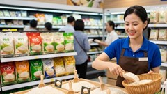 Giá lúa gạo hôm nay 20.8.2026: IR 504 tăng 100 đồng/kg