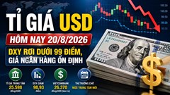 Tỉ giá USD hôm nay 20.8: DXY rơi dưới 99 điểm, giá trong nước ra sao?