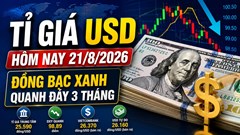 Tỉ giá USD hôm nay 21.8: Giá ngân hàng ổn định, đồng bạc xanh chưa thoát đáy