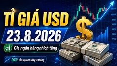 Tỉ giá USD hôm nay 23.8.2026: USD tự do xuống dưới 26.000 đồng
