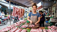 Giá heo hơi hôm nay 27.8.2026: Miền Bắc tiếp tục giữ đỉnh 60.000 đồng/kg
