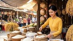 Giá lúa gạo hôm nay 27.8.2026: OM 18, OM 5451 cùng giảm 100 đồng/kg