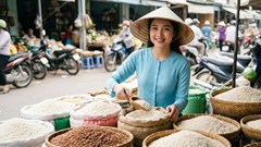 Giá lúa gạo hôm nay 28.8.2026: Gạo nguyên liệu tiếp tục giảm