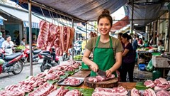Giá heo hơi hôm nay 29.8.2026: Ba địa phương miền Bắc giảm thêm