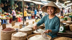 Giá lúa gạo hôm nay 2.9.2026: Thị trường tiếp tục đi ngang
