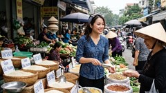 Giá lúa gạo hôm nay 8.9.2026: OM 18, Đài Thơm 8 tiếp tục giữ giá