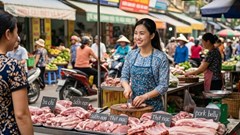 Giá heo hơi hôm nay 10.9.2026: Miền Nam phổ biến 58.000 đồng/kg