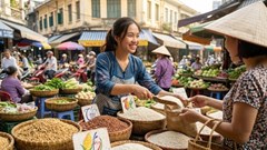 Giá lúa gạo hôm nay 14.9.2026: Thị trường đi ngang, chờ lực mua mới