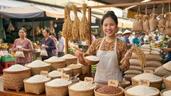 Giá lúa gạo hôm nay 17.9.2026: Lúa tươi đồng loạt giảm 200 đồng/kg