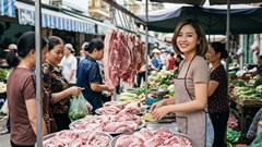 Giá heo hơi hôm nay 30.9.2026: Ba miền dao động 56.000 - 58.000 đồng/kg