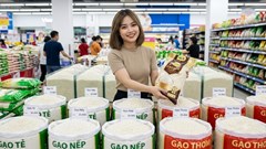 Giá lúa gạo hôm nay 30.9.2026: Hai loại gạo nguyên liệu nhích giá