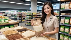 Giá lúa gạo hôm nay 1.10.2026: CL 555, IR 504 có giữ đà tăng?