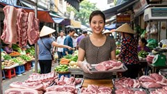 Giá heo hơi hôm nay 3.10.2026: Nhiều nơi giảm còn 55.000 đồng/kg