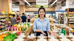 Giá lúa gạo hôm nay 4.10.2026: Chưa có tín hiệu tăng mới