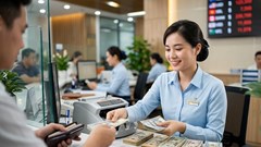 Tỉ giá USD hôm nay 4.10.2026: DXY dưới 102 điểm, USD ngân hàng ổn định