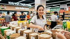 Giá lúa gạo hôm nay 6.10.2026: Thị trường đầu tuần giữ ổn định