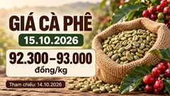 Giá cà phê hôm nay 15.10.2026: Chờ tín hiệu từ sàn London