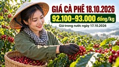 Giá cà phê hôm nay 18.10.2026: Robusta và Arabica cùng hỗ trợ