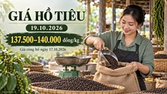 Giá hồ tiêu hôm nay 19.10.2026: Nguồn cung quốc tế tác động ra sao?