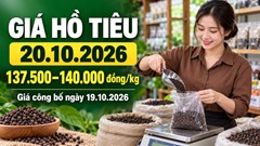 Giá hồ tiêu hôm nay 20.10.2026: Chờ sức mua mới ở vùng 140.000 đồng/kg