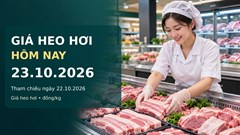Giá heo hơi hôm nay 23.10.2026: Miền Bắc chịu sức ép