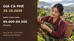 Giá cà phê hôm nay 26.10.2026: Chờ lực mua khi bước vào tuần mới