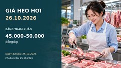 Giá heo hơi hôm nay 26.10.2026: Chờ sức mua sau tuần giảm sâu