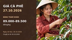 Giá cà phê hôm nay 27.10.2026: Robusta chịu sức ép nguồn cung