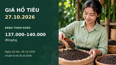Giá hồ tiêu hôm nay 27.10: Theo dõi nhu cầu và cạnh tranh xuất khẩu