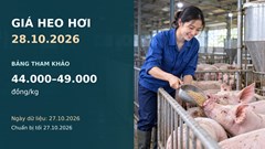 Giá heo hơi hôm nay 28.10.2026: Theo dõi sức mua sau nhịp giảm rộng