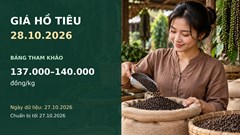 Giá hồ tiêu hôm nay 28.10.2026 và triển vọng phiên giao dịch mới