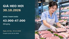 Giá heo hơi hôm nay 30.10.2026: Áp lực giảm lan rộng trên ba miền
