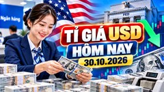 Tỉ giá USD hôm nay 30.10.2026: Vietcombank bán 26.020 đồng, DXY sát 102 điểm