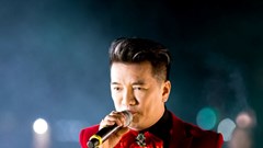 Ca sĩ Đàm Vĩnh Hưng bị cấm diễn trong nước hay cả quốc tế?
