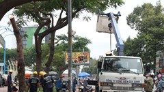 Thực hiện các giải pháp đảm bảo an toàn đối với hệ thống cây xanh