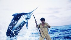 Kịch nghệ thuật kết hợp công nghệ thực tế ảo lần đầu tiên tại Việt Nam