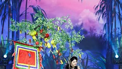 Loại hai tác phẩm dự thi Trang phục văn hóa dân tộc tại Cuộc thi Hoa hậu Quốc gia Việt Nam 2024