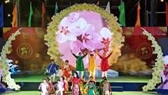 Đặc sắc chương trình “Mai vàng rực sáng đảo xanh” trong đêm giao thừa tại Côn Đảo