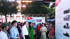 TP.HCM: Triển lãm và chiếu phim công cộng tại đường đi bộ Nguyễn Huệ